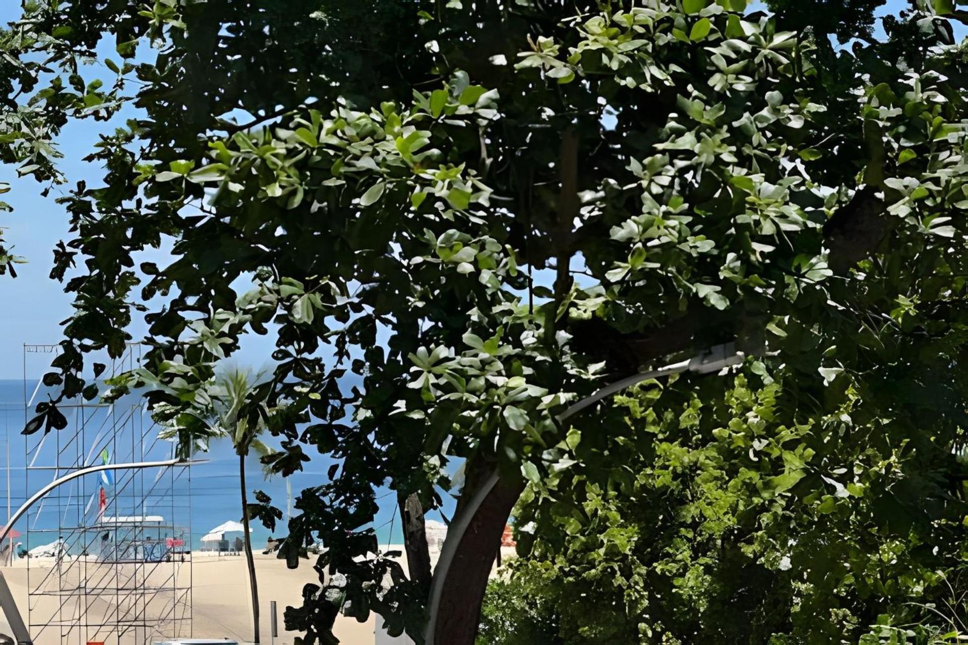 شقة Pe Na Areia ريو دي جانيرو المظهر الخارجي الصورة